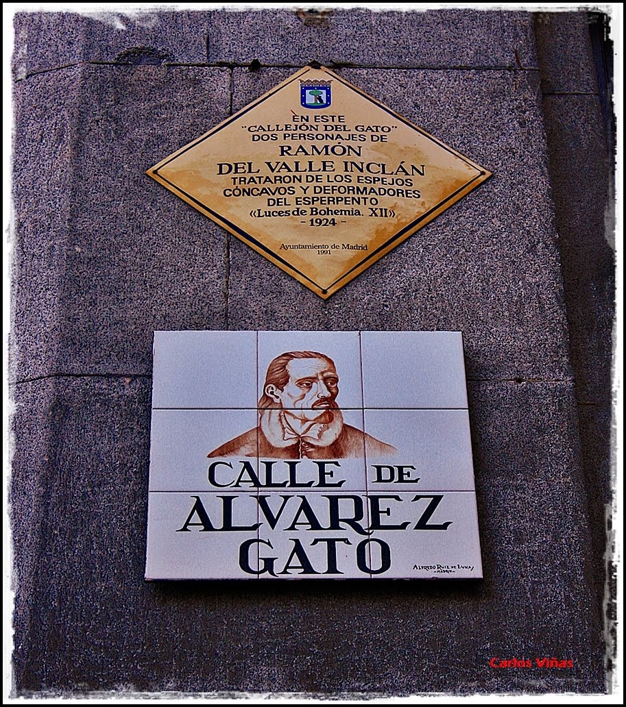 Alvarez Gato.jpg
