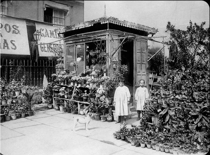 Jardín del ángel 1