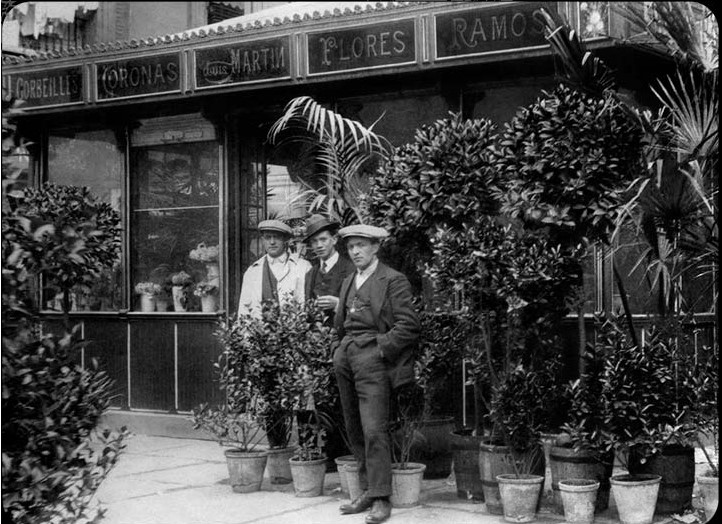 Jardín del ángel 2