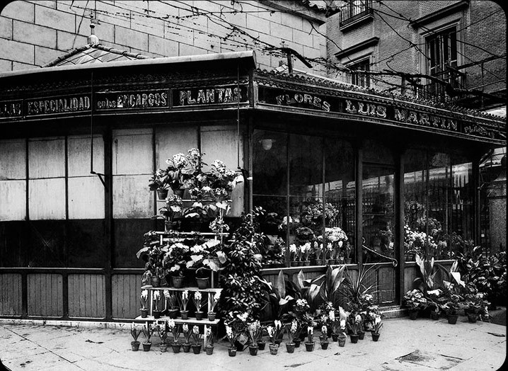 Jardín del ángel 3