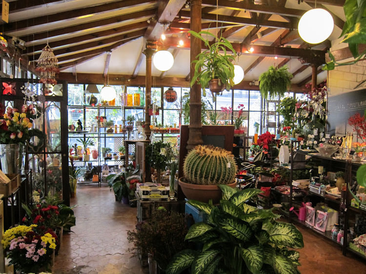 Jardín del ángel 5