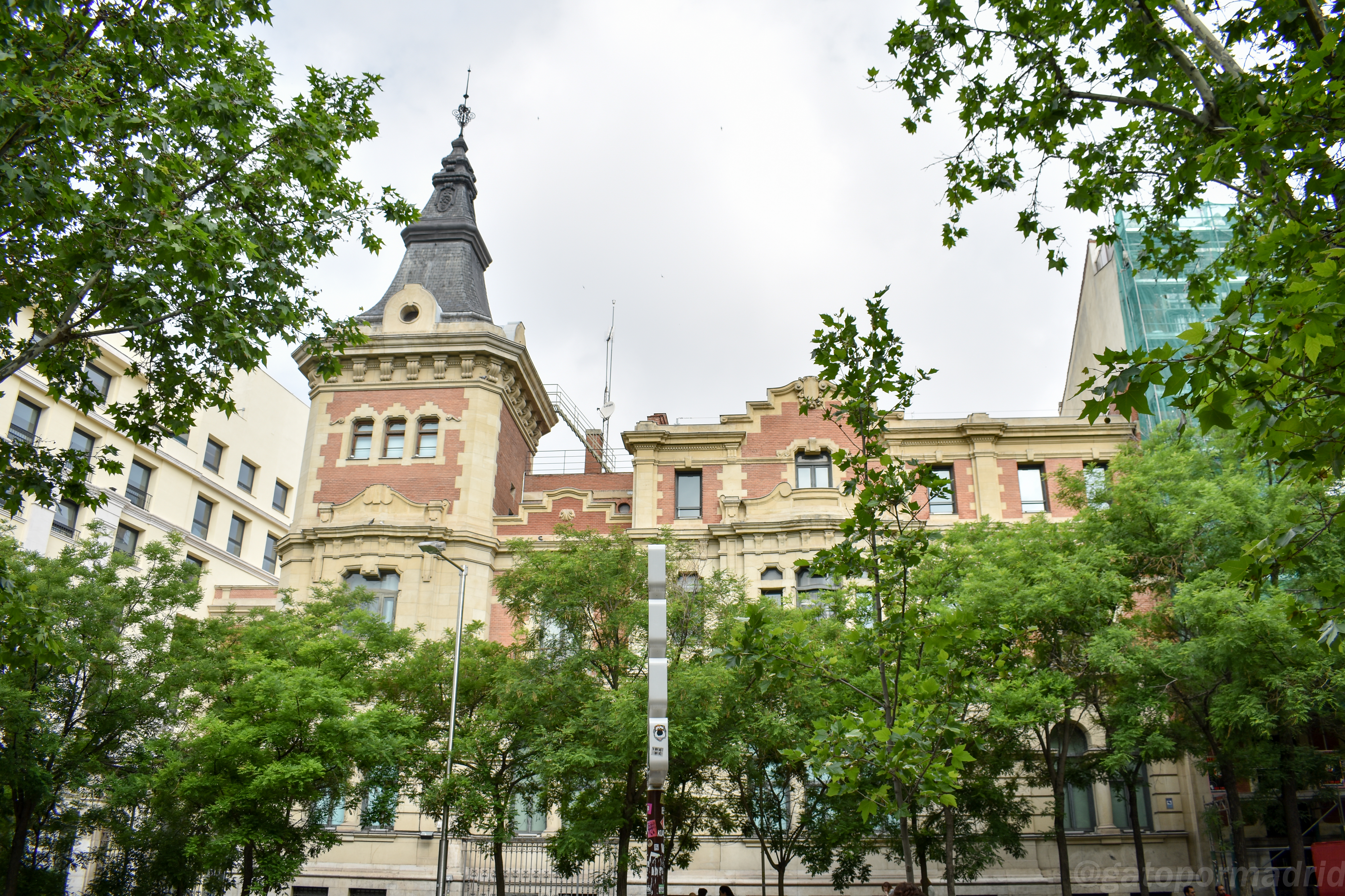 PALACIO DE LOS CONDES DE GUEVARA